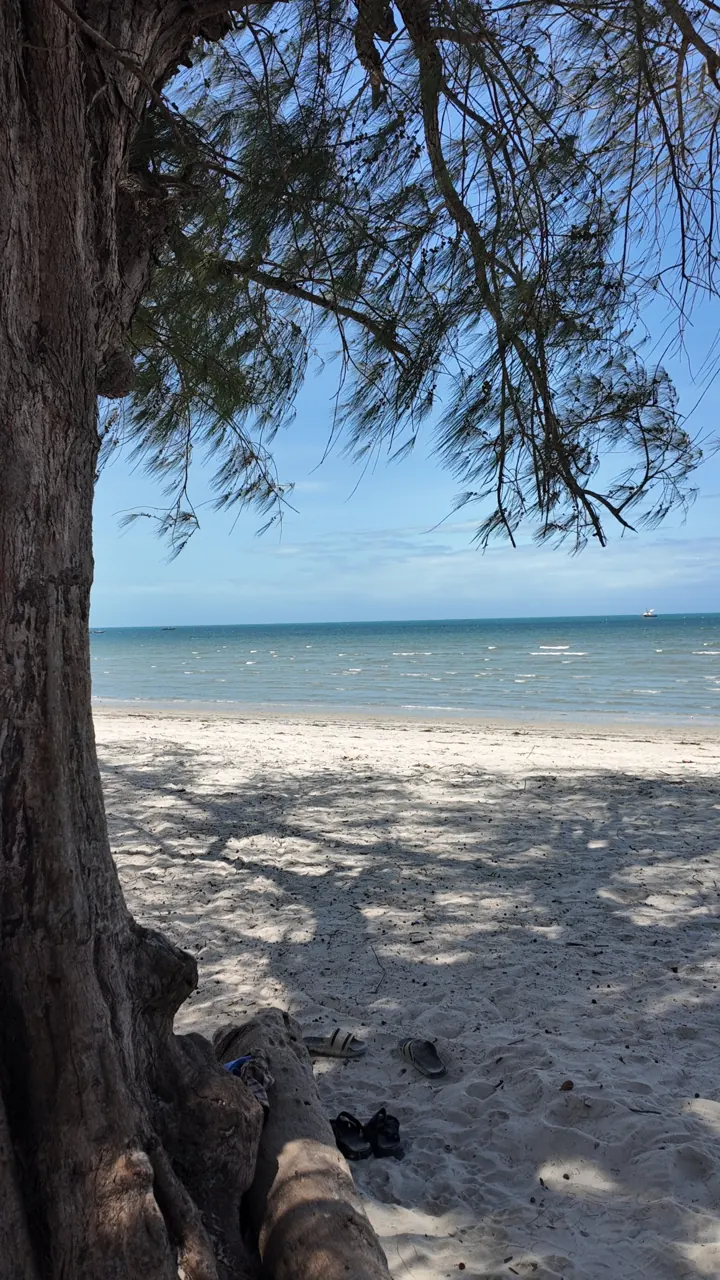A shady tree on a sandy beach, with the turquoise Indian Ocean behind